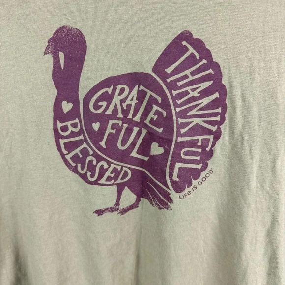 Life is Good Thanksgiving Turkey Lightweight Hoodie Size Small - Picture 2 of 7